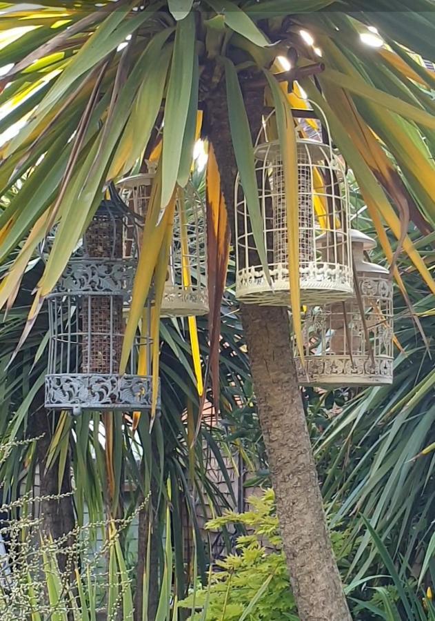 Tropical Garden Oasis Rooms Бірмінгем Екстер'єр фото